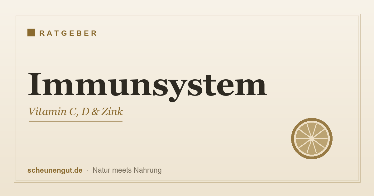 Immunsystem natürlich unterstützen – Vitamin C, D und Zink