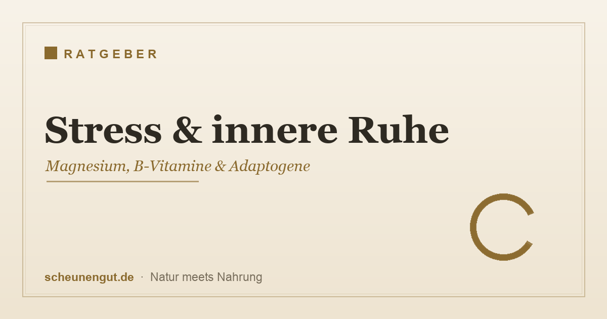 Stress und innere Ruhe – Magnesium, B-Vitamine und Adaptogene