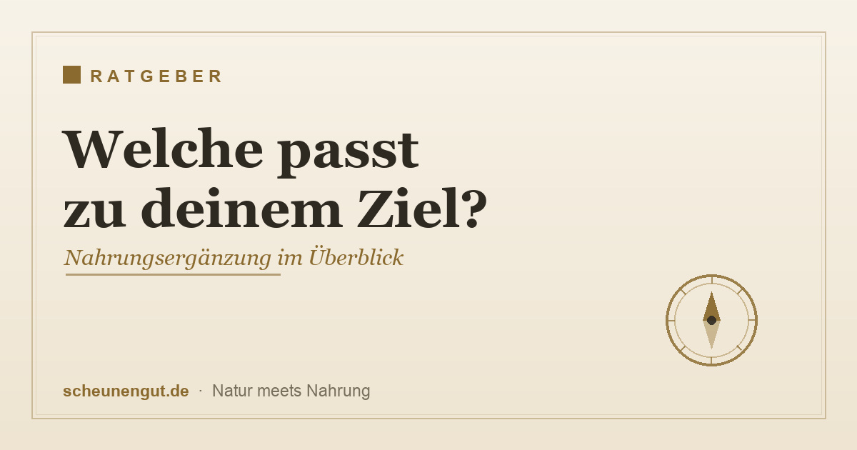 Welche Nahrungsergänzung passt zu deinem Ziel – der große Überblick
