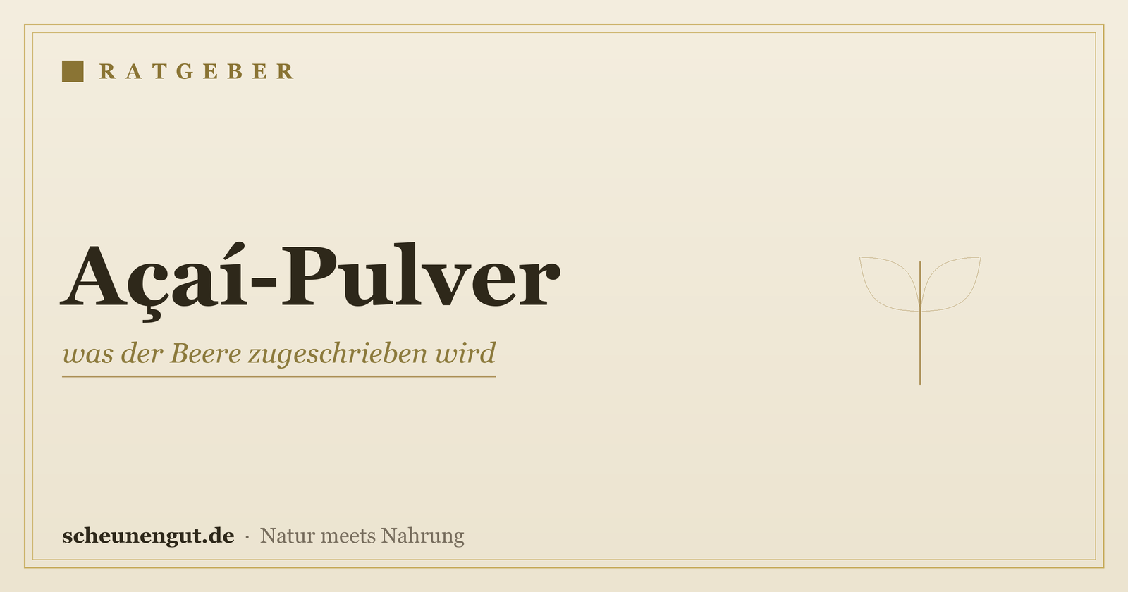 Açaí-Pulver: was der Beere zugeschrieben wird