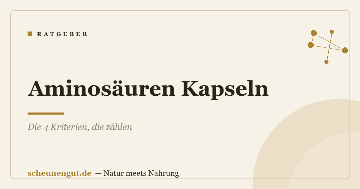 Aminosäuren Kapseln: Die 4 Kriterien, die zählen