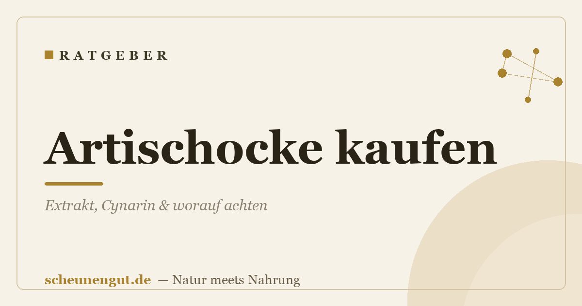Artischocke kaufen: Extrakt, Cynarin & worauf achten