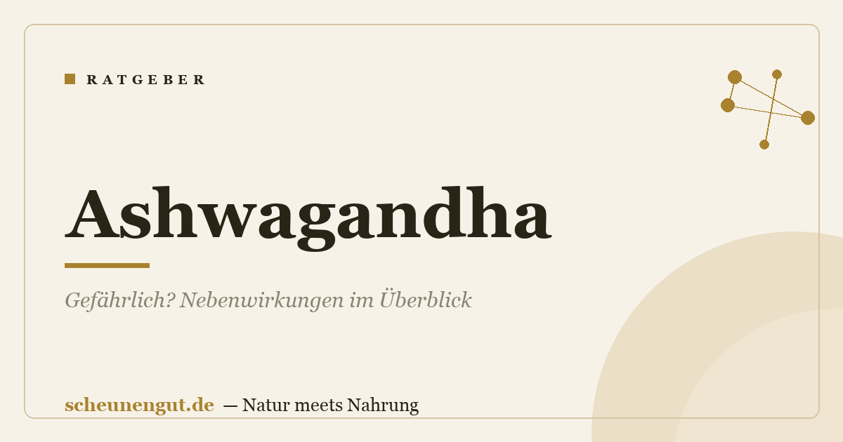 Ashwagandha: Gefährlich? Nebenwirkungen im Überblick