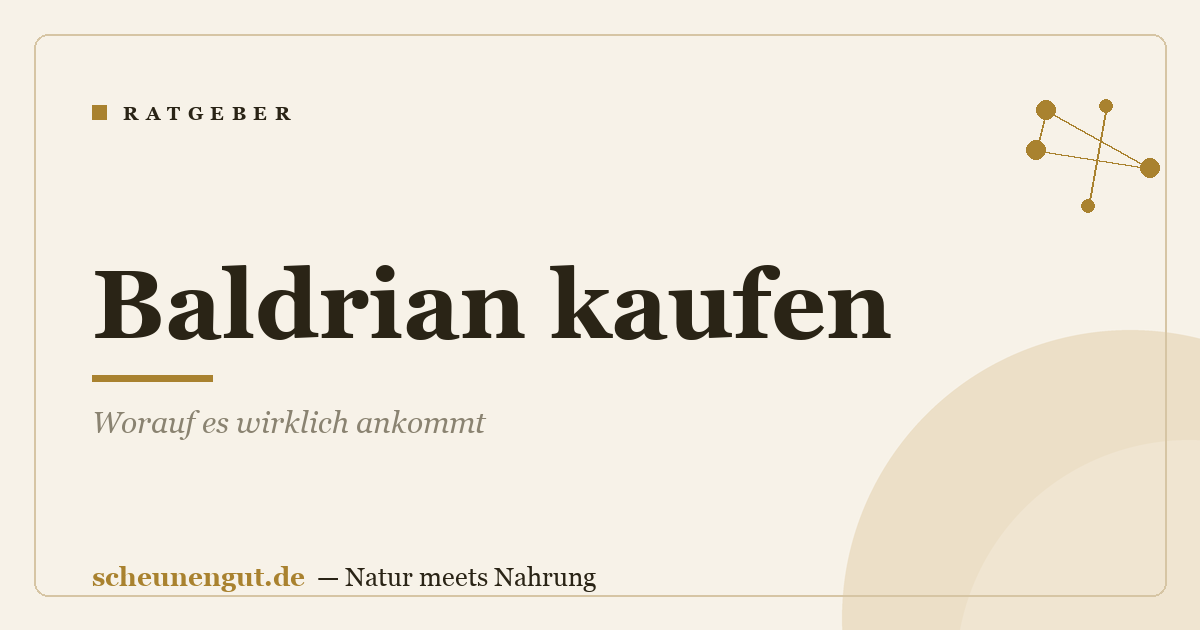 Baldrian kaufen: Worauf es wirklich ankommt