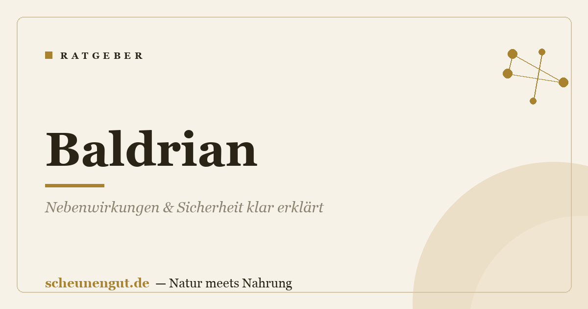 Baldrian: Nebenwirkungen & Sicherheit klar erklärt