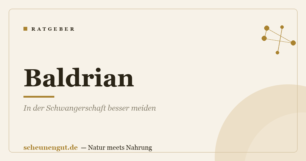 Baldrian: In der Schwangerschaft besser meiden