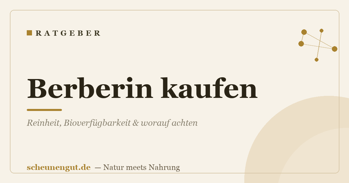 Berberin kaufen: Reinheit, Bioverfügbarkeit & worauf achten