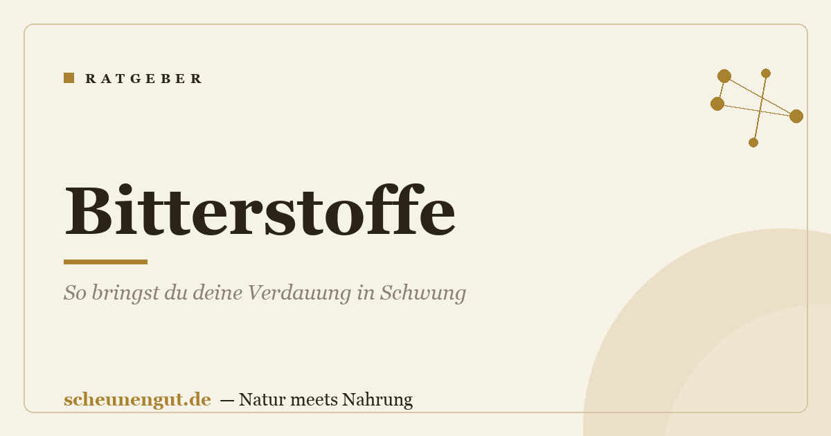 Bitterstoffe: So bringst du deine Verdauung in Schwung