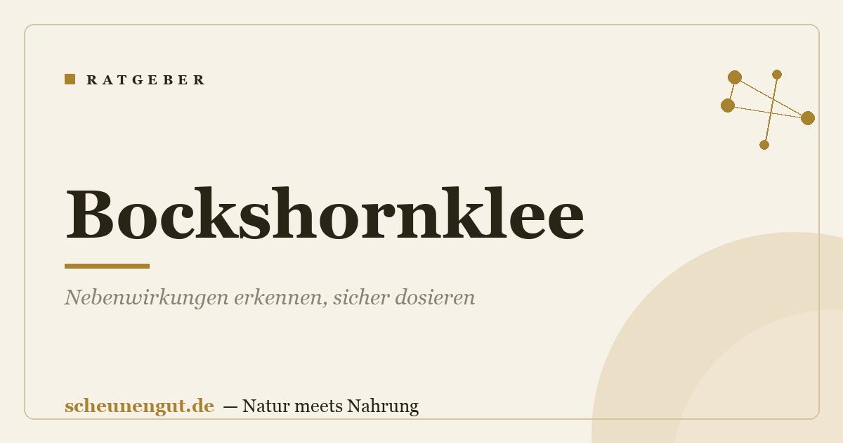 Bockshornklee: Nebenwirkungen erkennen, sicher dosieren