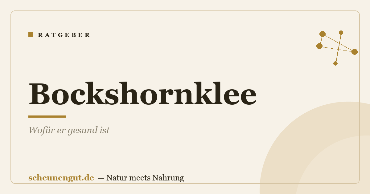 Bockshornklee: Wofür er gesund ist