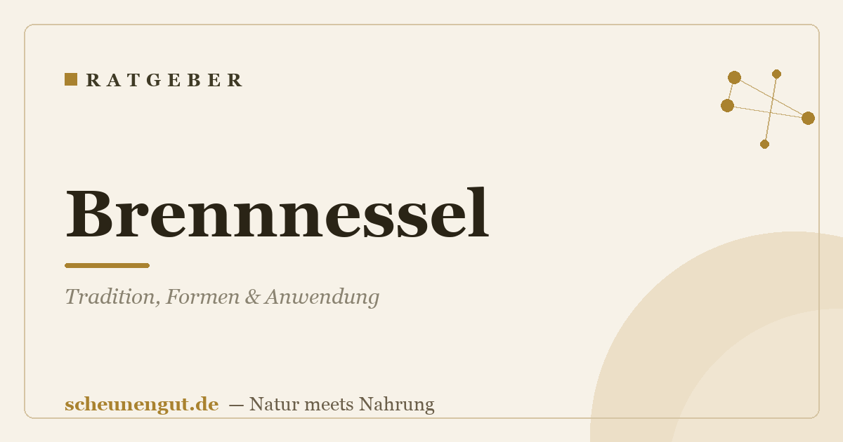 Brennnessel: Tradition, Formen & Anwendung