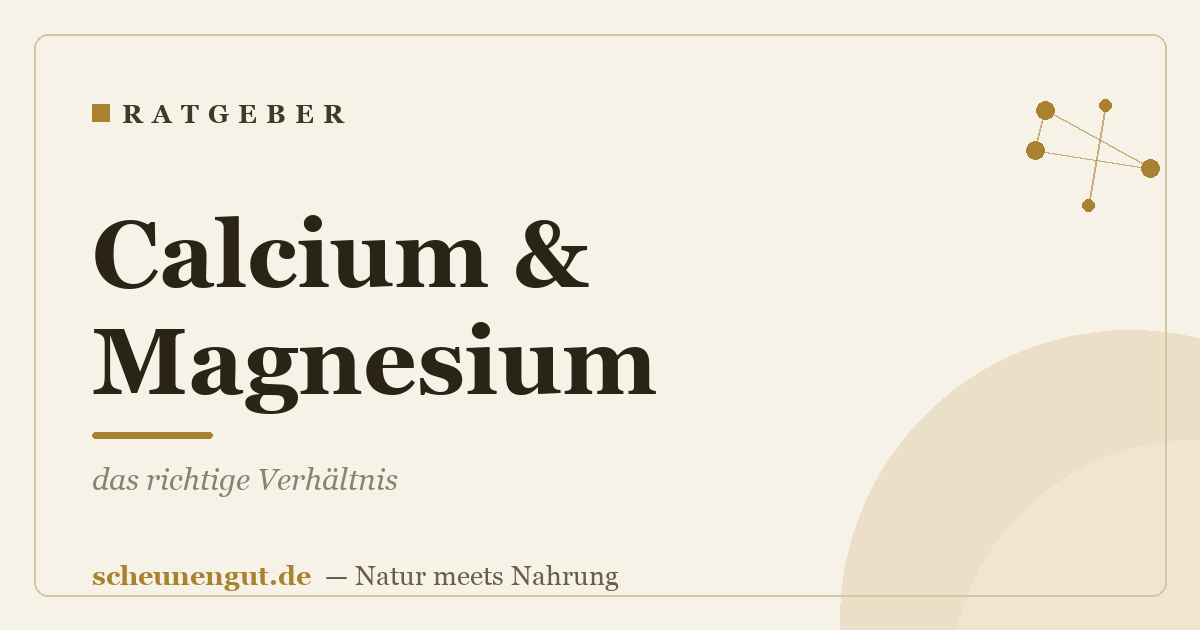Calcium & Magnesium: das richtige Verhältnis