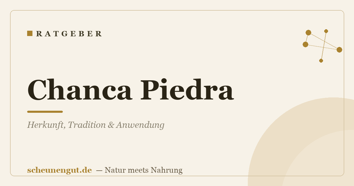 Chanca Piedra: Herkunft, Tradition & Anwendung