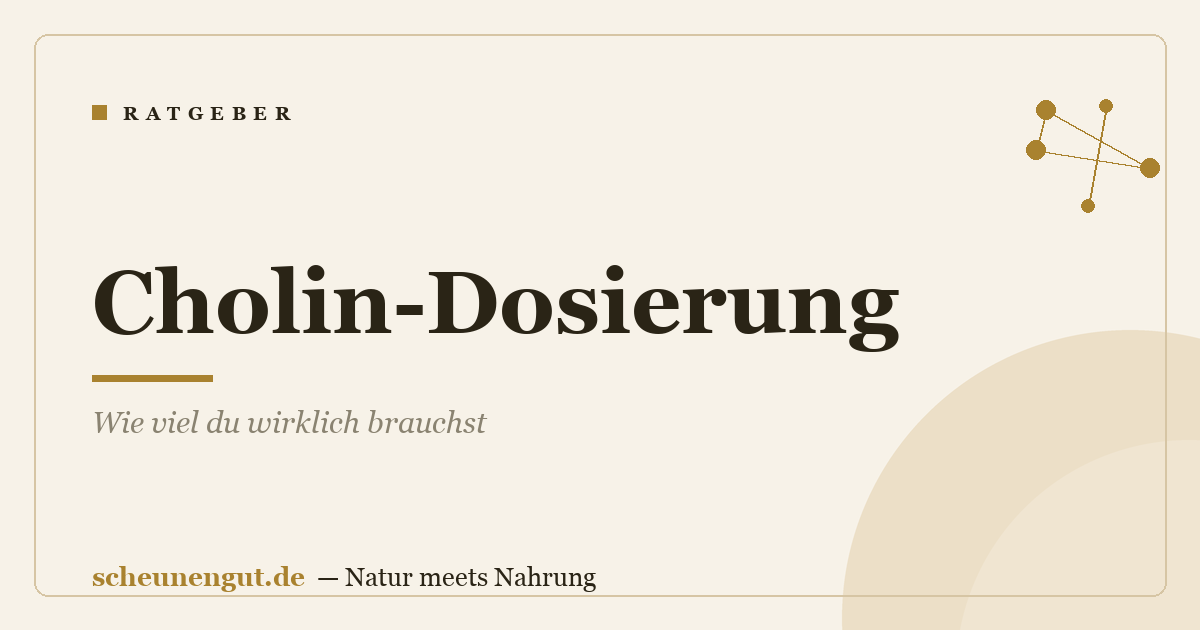 Cholin-Dosierung: Wie viel du wirklich brauchst