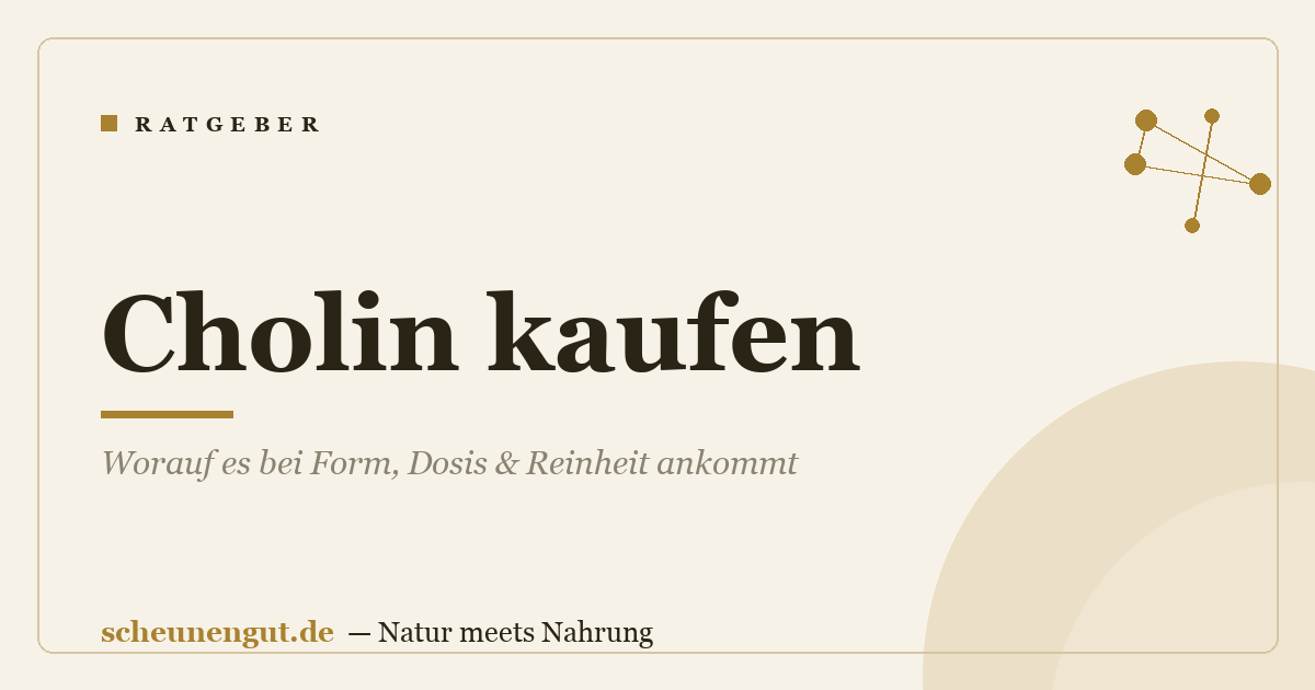 Cholin kaufen: Worauf es bei Form, Dosis & Reinheit ankommt