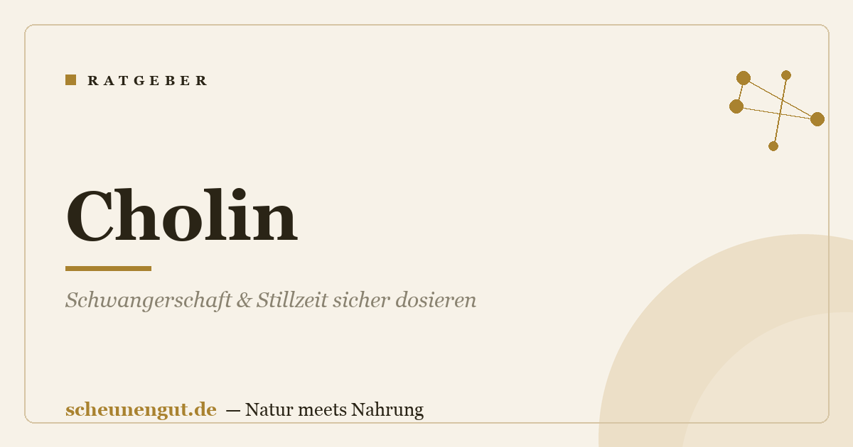 Cholin: Schwangerschaft & Stillzeit sicher dosieren