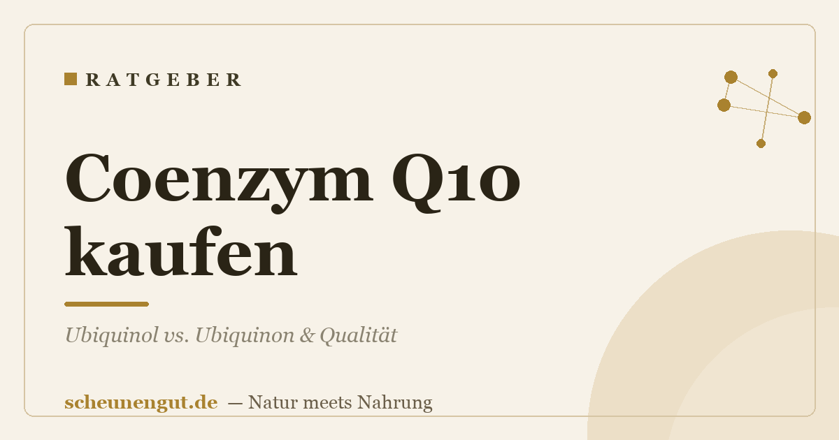 Coenzym Q10 kaufen: Ubiquinol vs. Ubiquinon & Qualität
