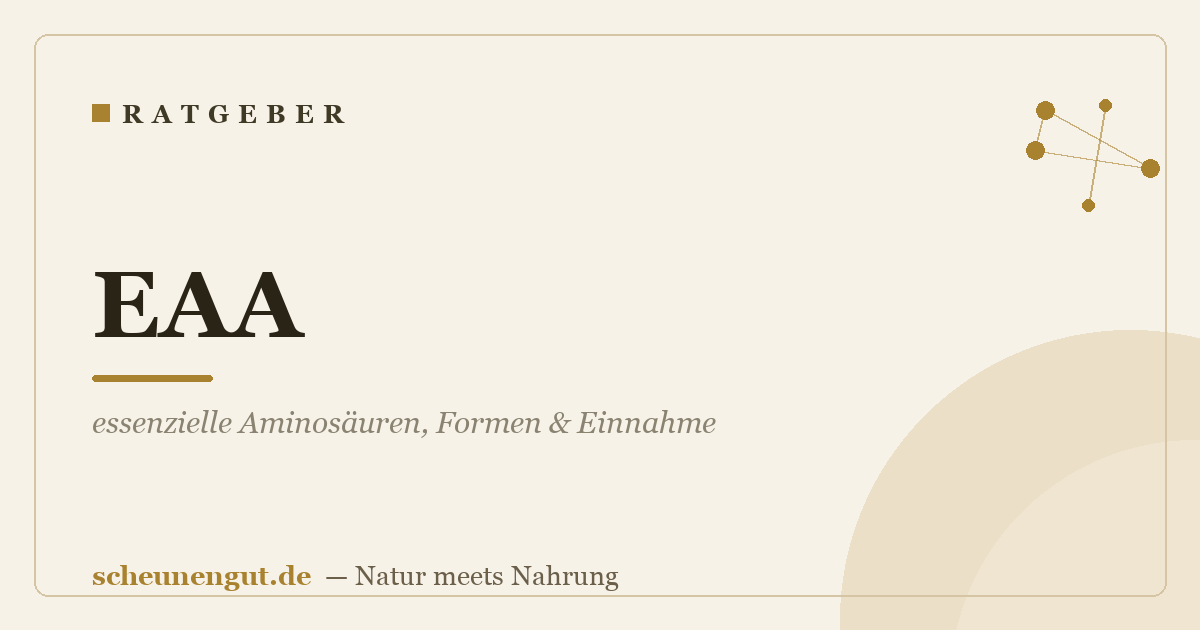 EAA: essenzielle Aminosäuren, Formen & Einnahme