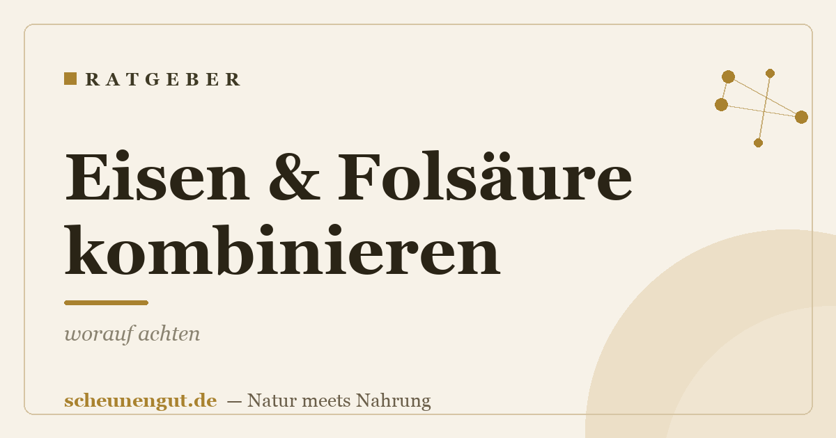 Eisen & Folsäure kombinieren: worauf achten