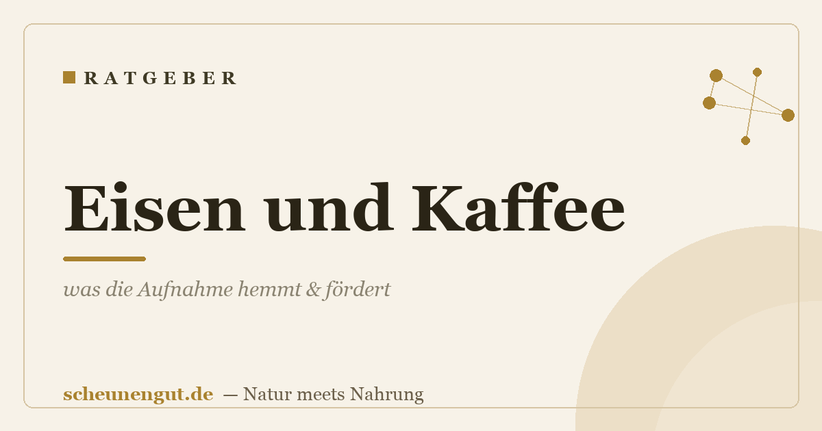 Eisen und Kaffee: was die Aufnahme hemmt & fördert