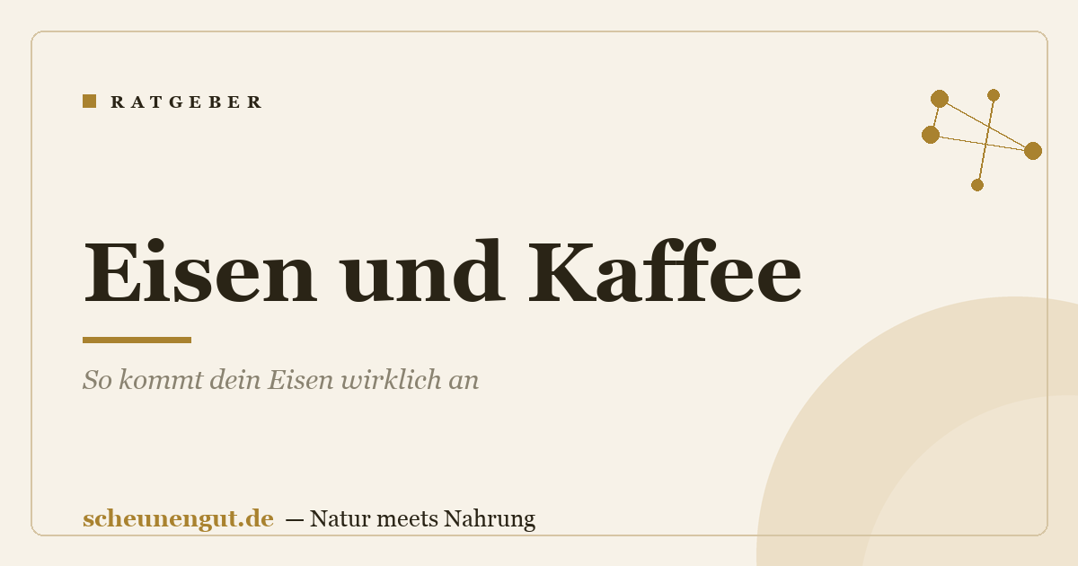 Eisen und Kaffee: So kommt dein Eisen wirklich an