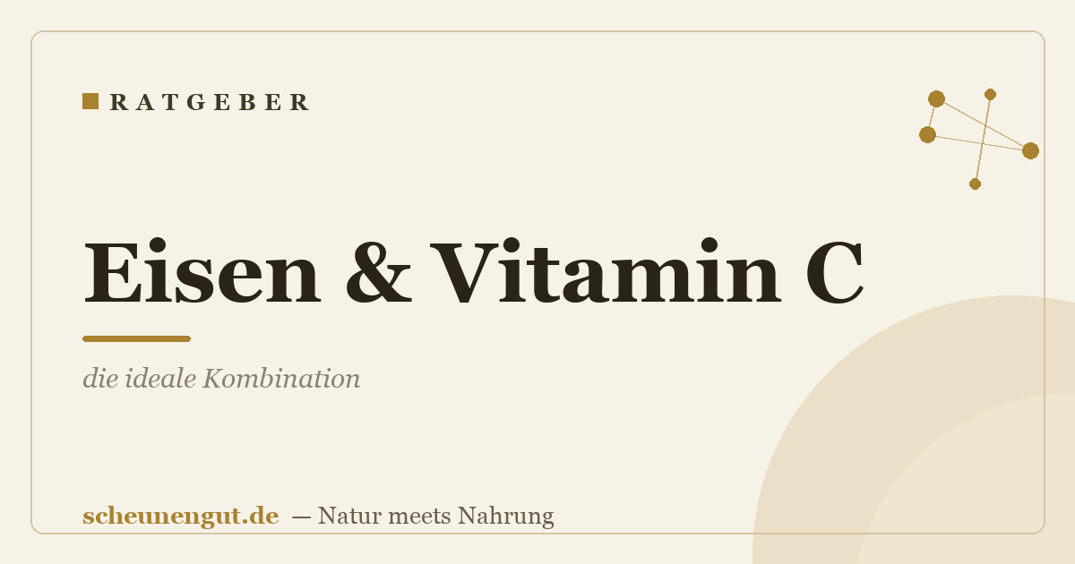 Eisen & Vitamin C: die ideale Kombination
