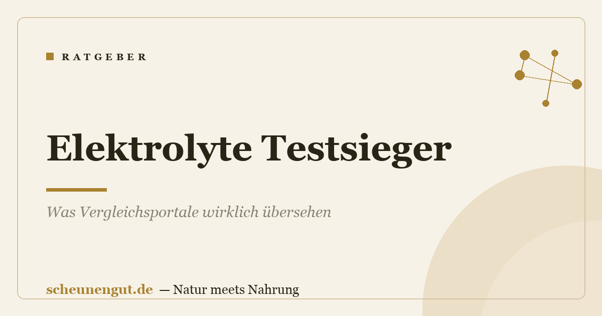 Elektrolyte Testsieger: Was Vergleichsportale wirklich übersehen