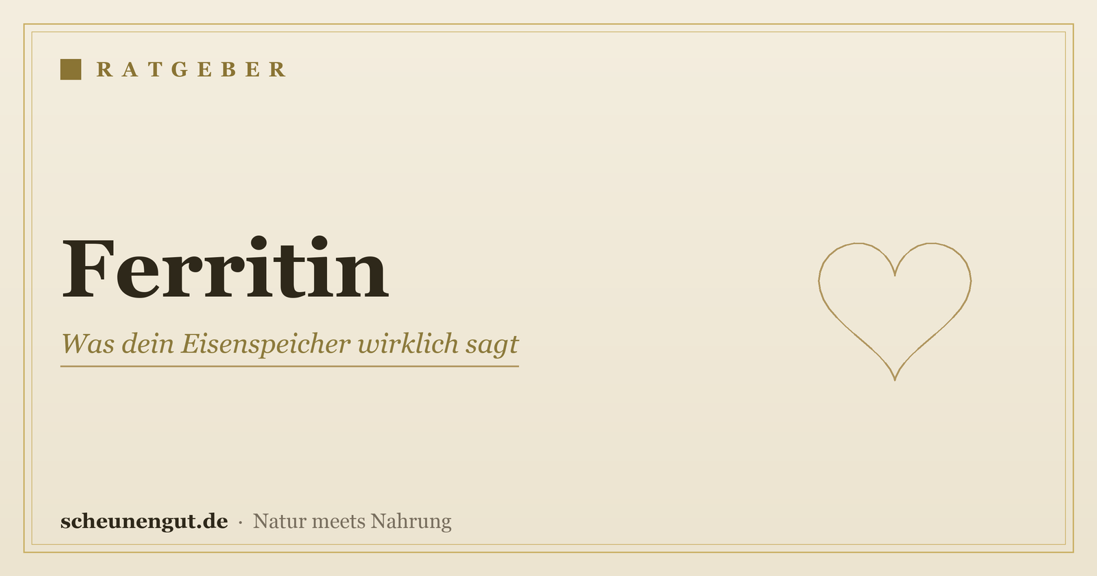 Ferritin: Was dein Eisenspeicher wirklich sagt