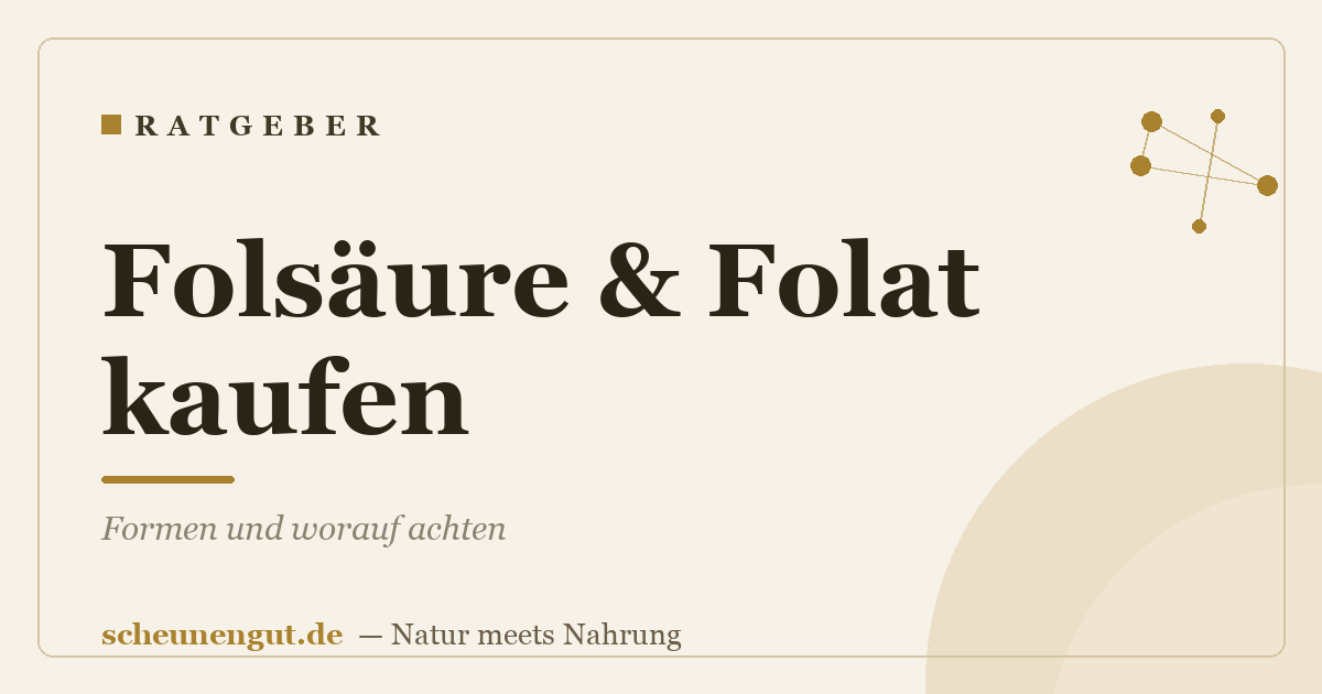 Folsäure & Folat kaufen: Formen und worauf achten