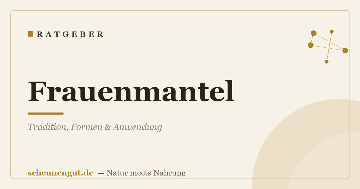 Frauenmantel: Tradition, Formen & Anwendung
