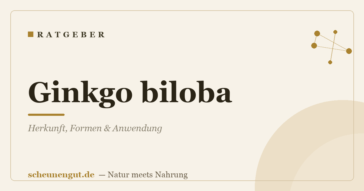 Ginkgo biloba: Herkunft, Formen & Anwendung