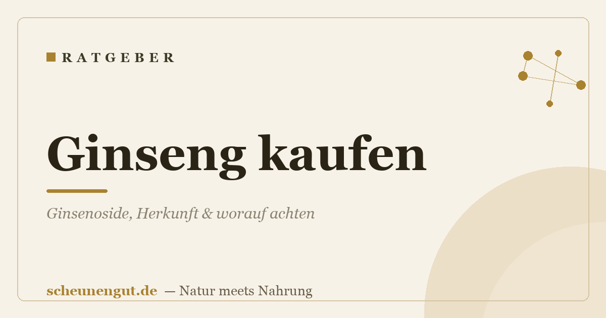 Ginseng kaufen: Ginsenoside, Herkunft & worauf achten