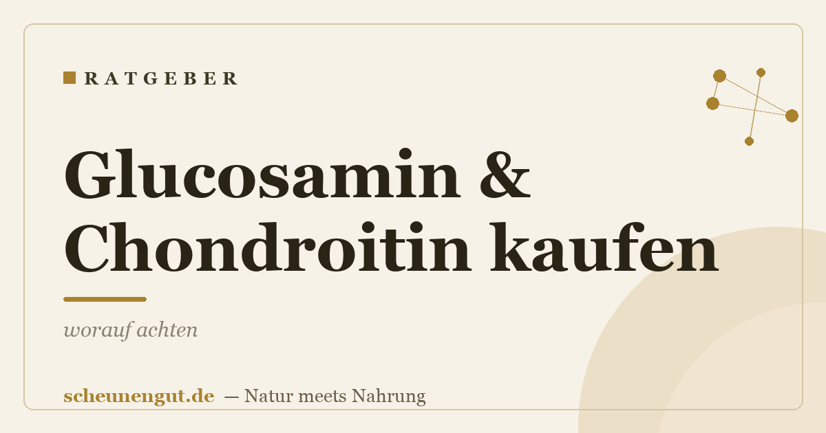 Glucosamin & Chondroitin kaufen: worauf achten