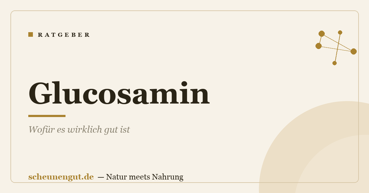 Glucosamin: Wofür es wirklich gut ist