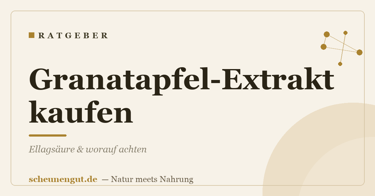 Granatapfel-Extrakt kaufen: Ellagsäure & worauf achten
