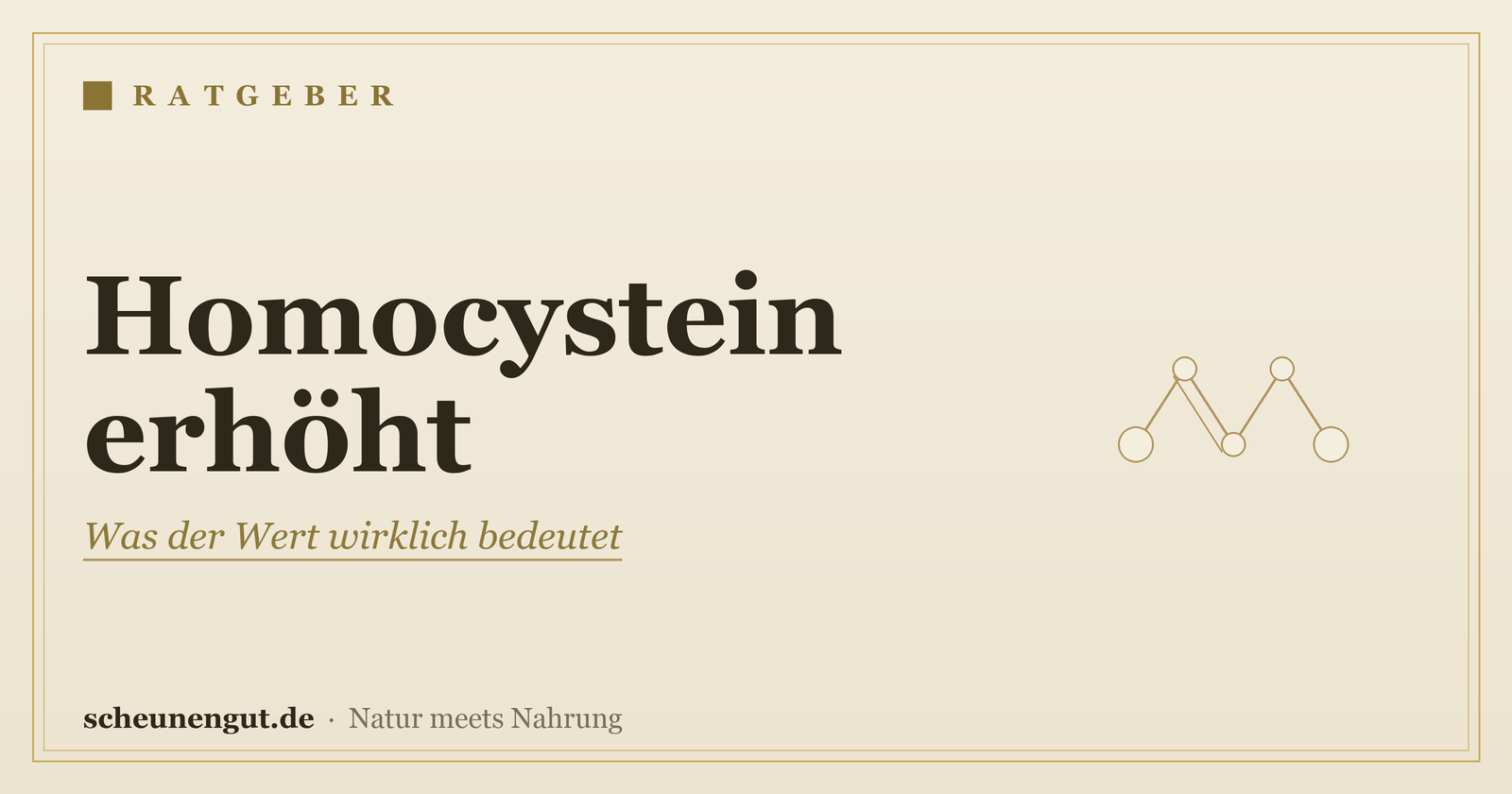 Homocystein erhöht: Was der Wert wirklich bedeutet