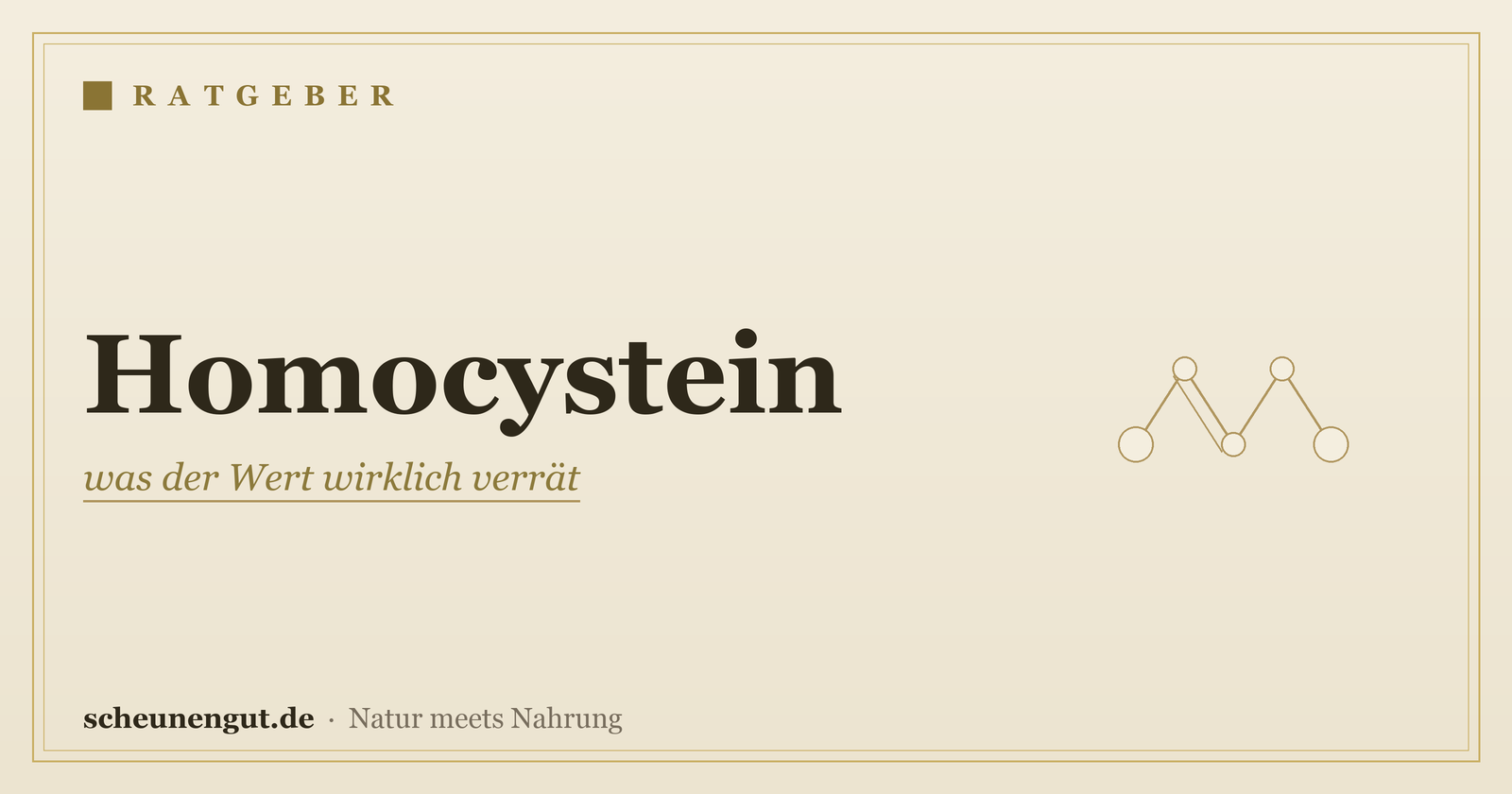 Homocystein: was der Wert wirklich verrät