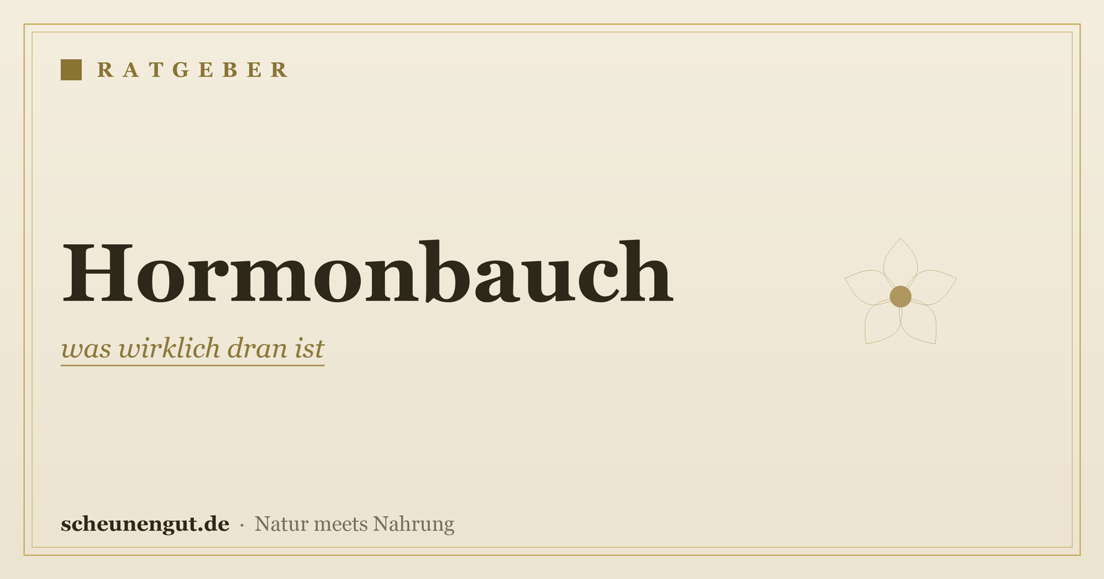 Hormonbauch: was wirklich dran ist
