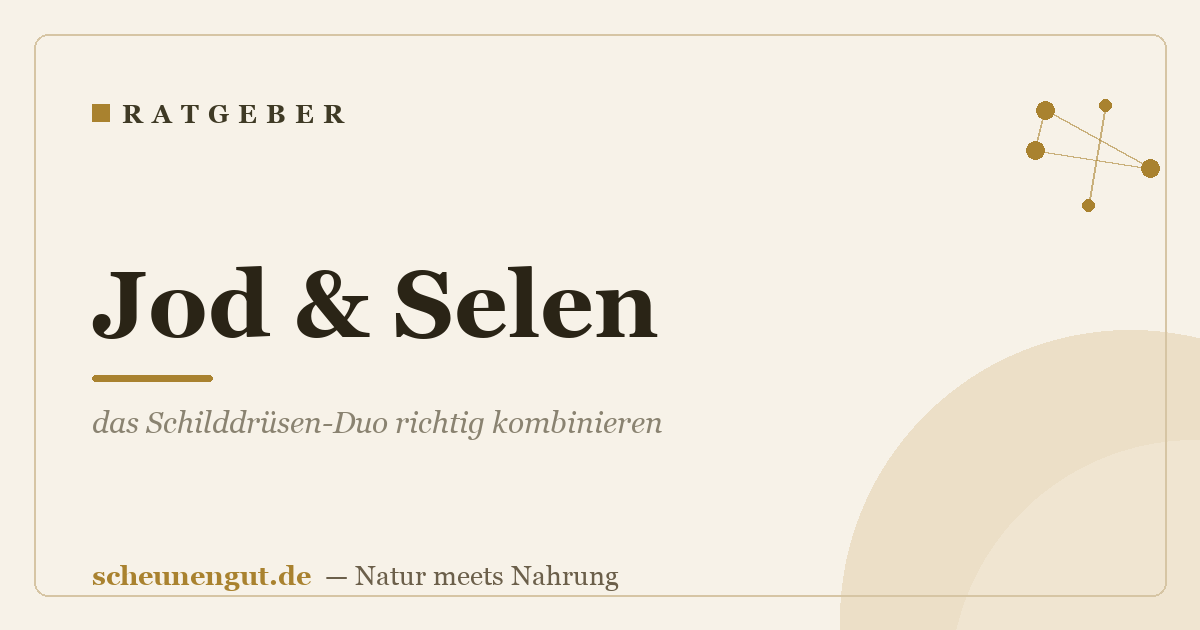 Jod & Selen: das Schilddrüsen-Duo richtig kombinieren