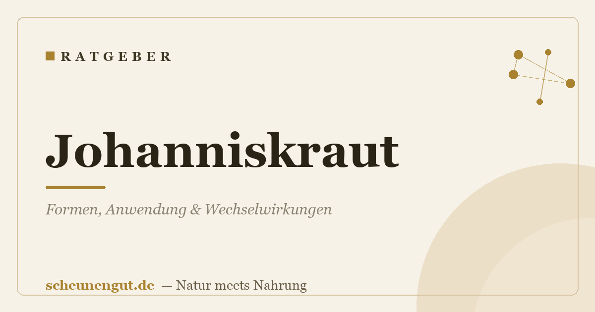 Johanniskraut: Formen, Anwendung & Wechselwirkungen