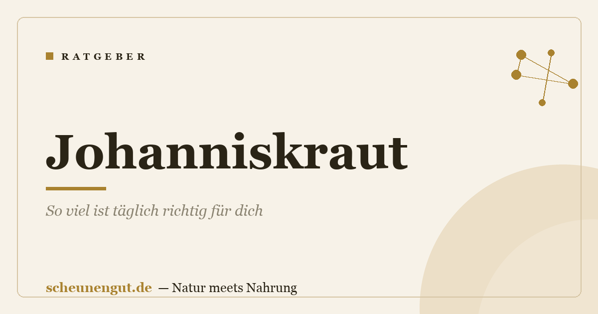Johanniskraut: So viel ist täglich richtig für dich