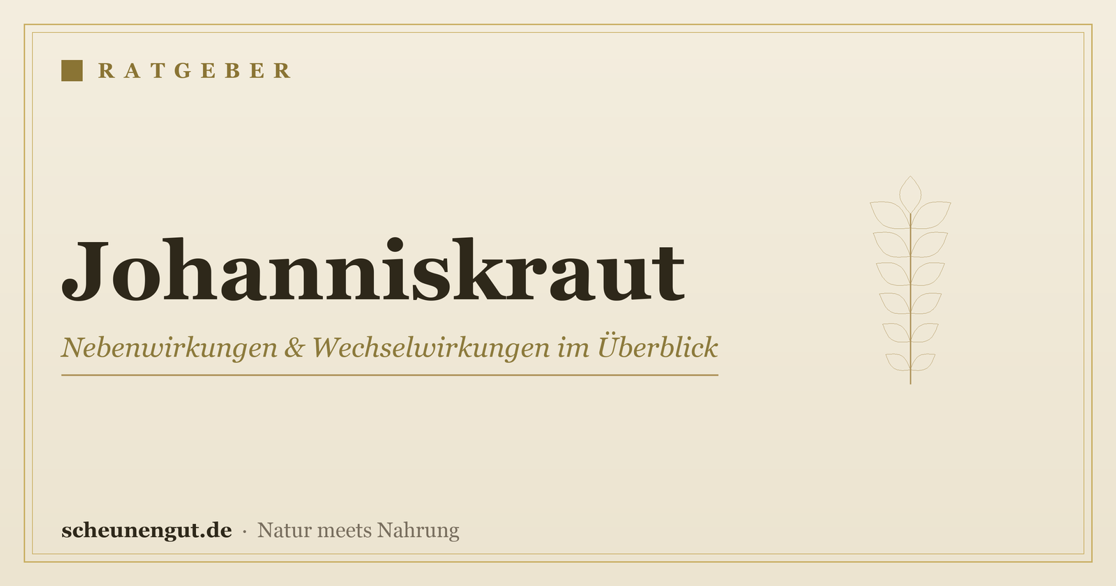 Johanniskraut: Nebenwirkungen & Wechselwirkungen im Überblick