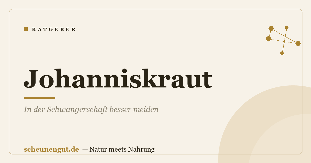 Johanniskraut: In der Schwangerschaft besser meiden