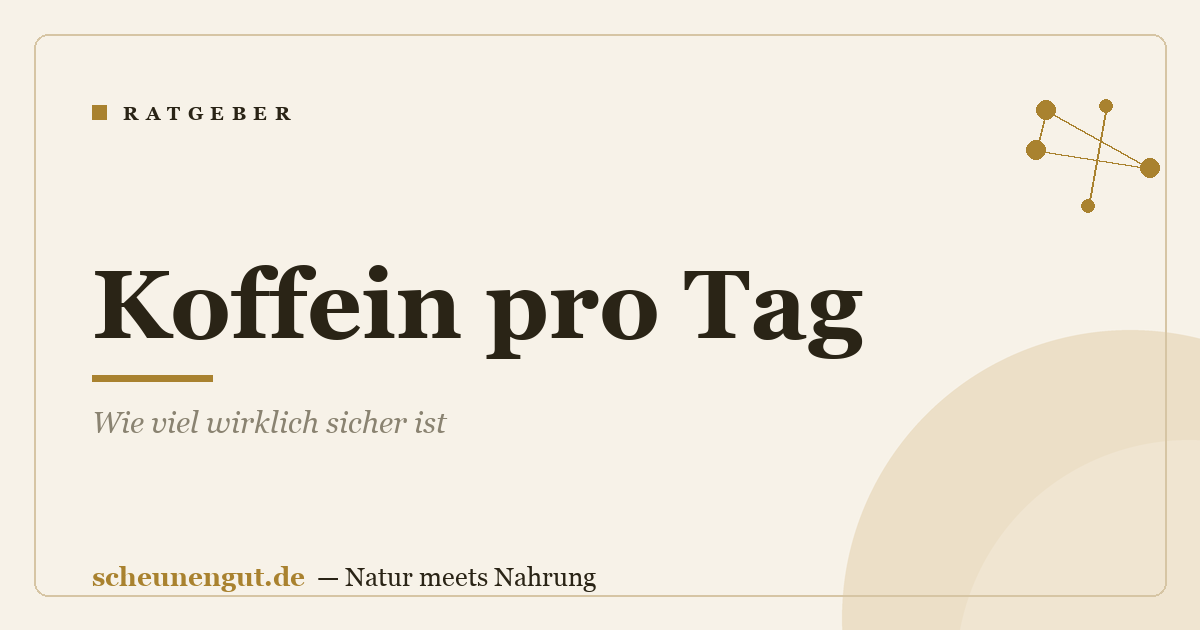 Koffein pro Tag: Wie viel wirklich sicher ist