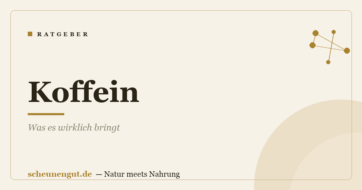 Koffein: Was es wirklich bringt
