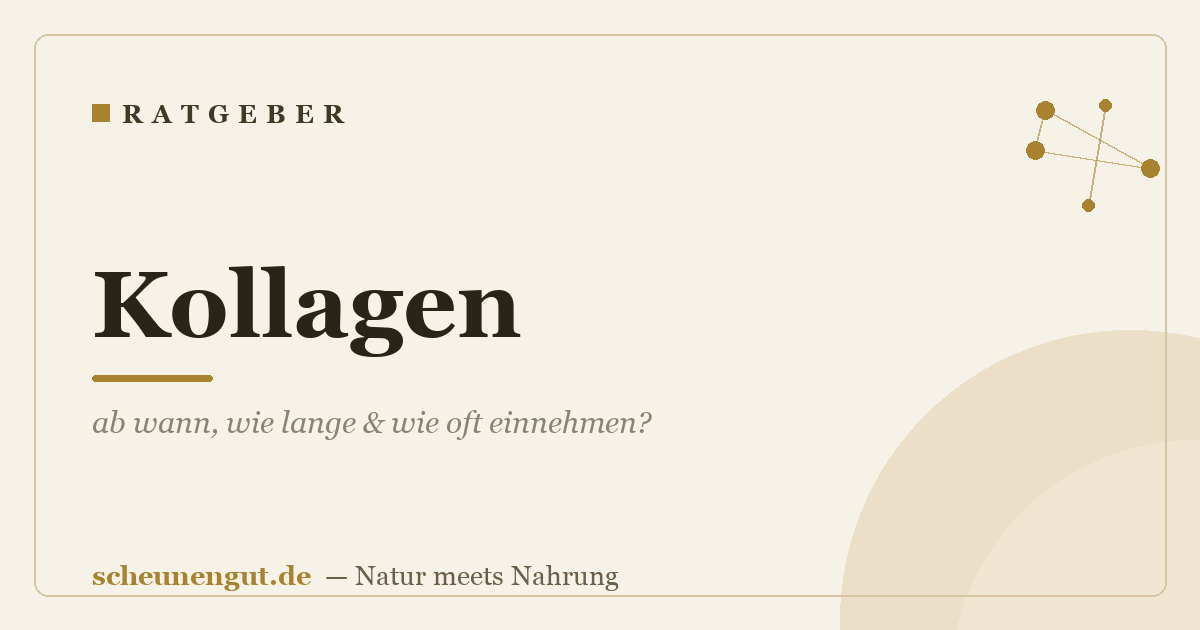 Kollagen: ab wann, wie lange & wie oft einnehmen?