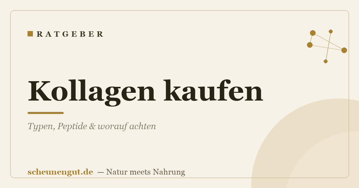 Kollagen kaufen: Typen, Peptide & worauf achten