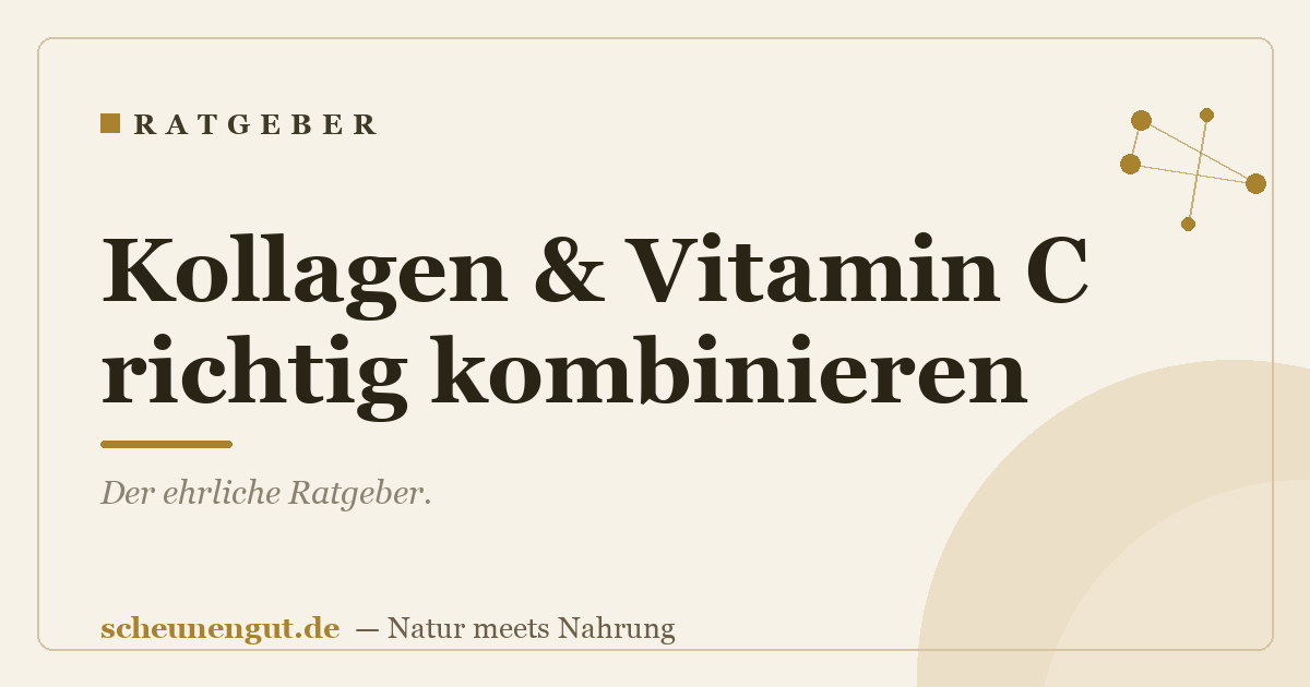 Kollagen & Vitamin C richtig kombinieren