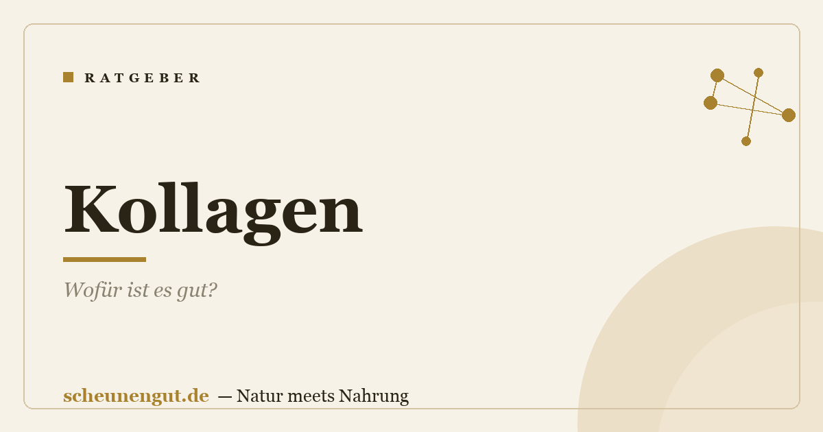 Kollagen: Wofür ist es gut?
