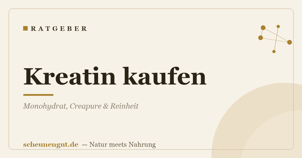 Kreatin kaufen: Monohydrat, Creapure & Reinheit